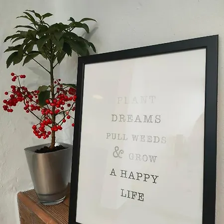 En * פוארטו דל כרמן